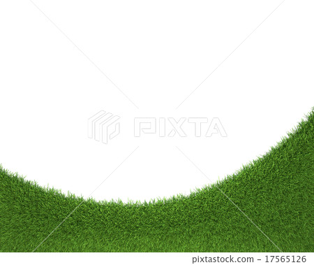Frame made of green grass isolated on white Frame made of green grass isolated on white 17565126