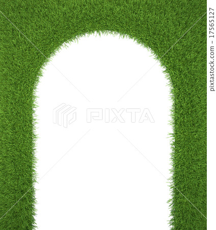 Frame made of green grass isolated on white Frame made of green grass isolated on white 17565127