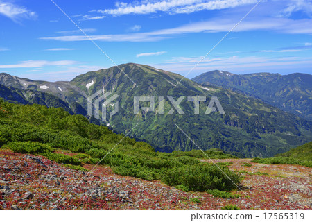 草秋葉和Yukigakadake,Asahi-dake 草秋葉和Yukigakadake,Asahi-dake 17565319
