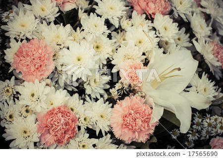 flower bush with vintage filter effect flower bush with vintage filter effect 17565690