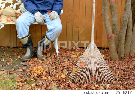 garden work garden work 17566217