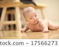 嬰兒 17566273