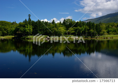 知床戈科 17566713