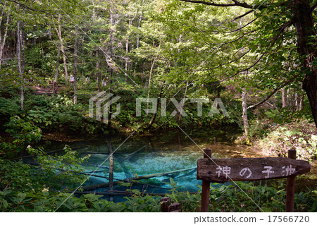 上帝的池塘 17566720