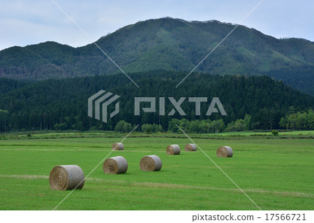 滾動頁面 滾動頁面 17566721