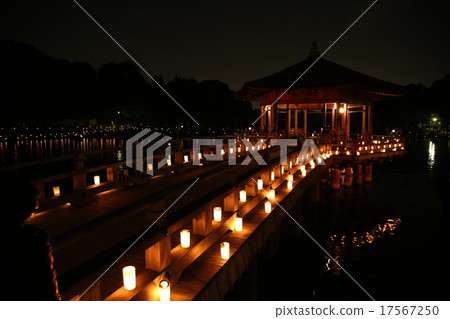 奈良 漂亮 美 17567250