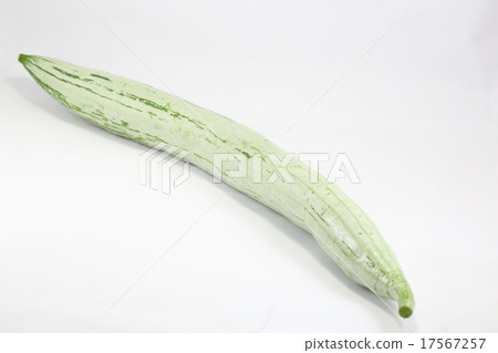 Snake Gourd  17567257
