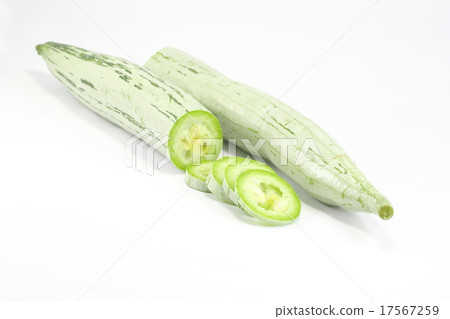 Snake Gourd  17567259
