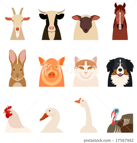 Farm animals flat icons Farm animals flat icons 17567982