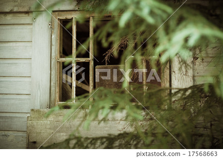 Abandoned cabin in the woods window 17568663