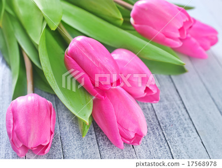 background background 17568978