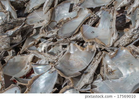pearl factory on the sea pearl factory on the sea 17569010