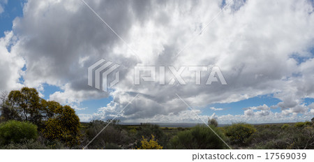 Kalbarri Batavia coast cliffs on the ocean 17569039