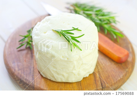 cheese 17569088