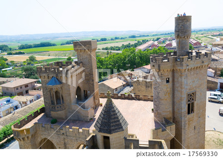 Observing Olite from the Castle Observing Olite from the Castle 17569330