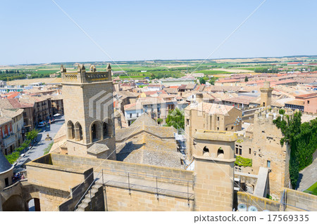 Top of the Castle of Olite Top of the Castle of Olite 17569335