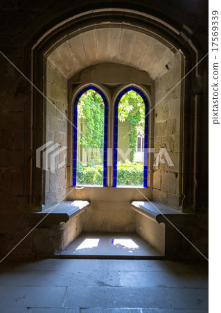 Window to the garden Window to the garden 17569339