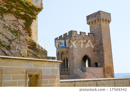 Protecting Olite Protecting Olite 17569342