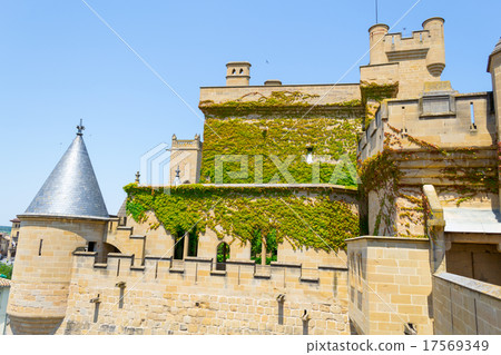 Green walls in Olite Green walls in Olite 17569349