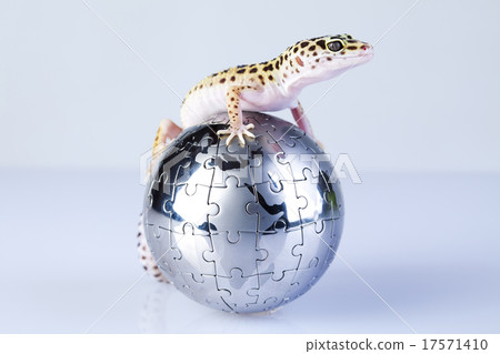Gecko in globe, bright colorful vivid theme 17571410