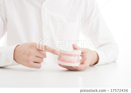 A man describing a tooth model 17572438