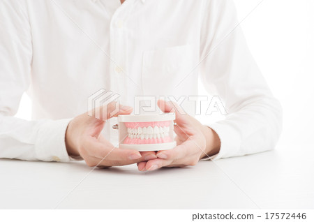 A man describing a tooth model A man describing a tooth model 17572446