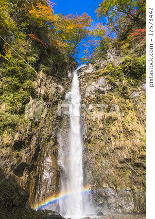 Fall immovable large falls (vertical) 17573442