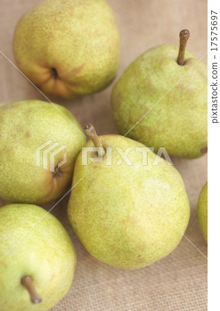 Western pear 17575697