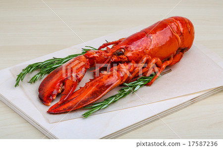 Lobster 17587236