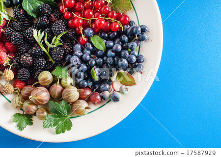 fresh berries fresh berries 17587929