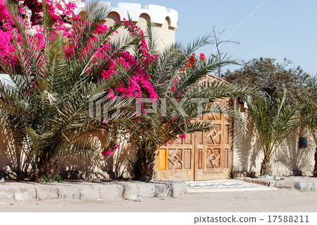 summer flowers 17588211