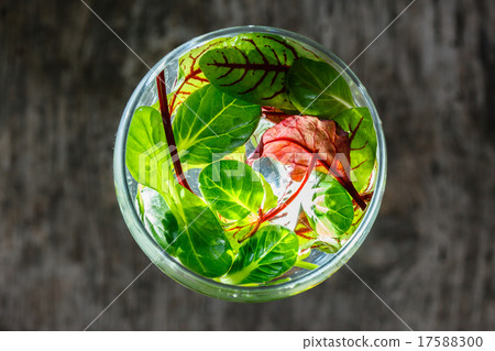 fresh salad leaves 17588300