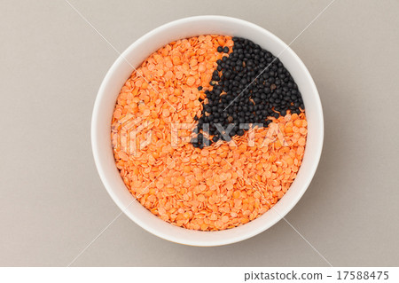 orange and black lentil 17588475