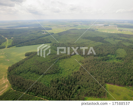 forests forests 17588537