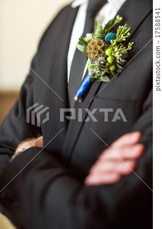 elegant groom elegant groom 17588541
