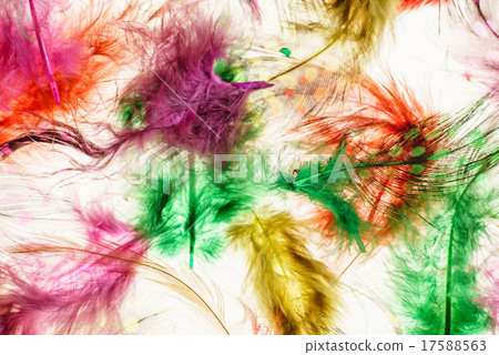 color feathers color feathers 17588563