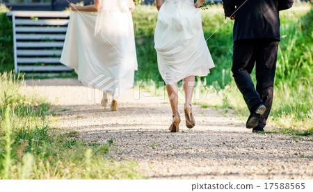 wedding day wedding day 17588565