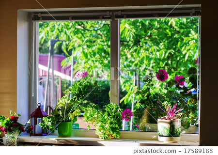window in country house 17589188