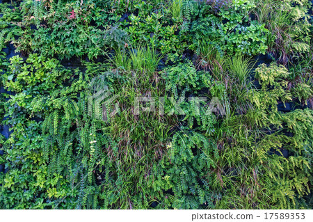 nature background 17589353