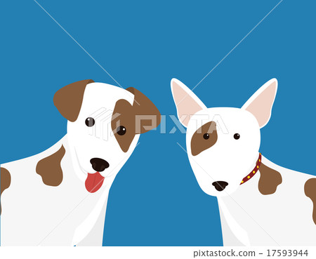 Pet vector Pet vector 17593944