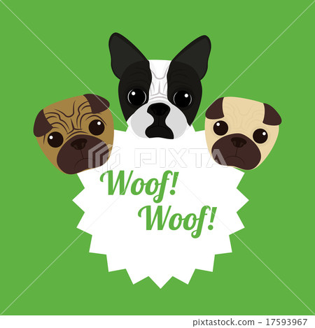 Pet vector Pet vector 17593967