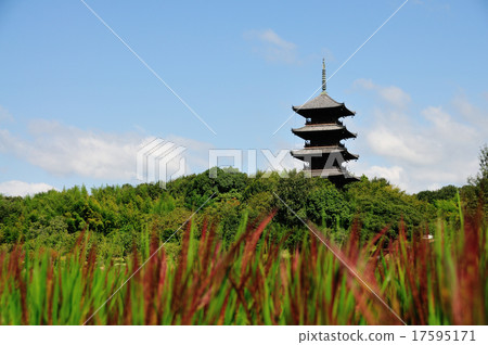 Bikkan Kokubunji and Red Rice ④ (Okayama Prefecture general corporation city) Bikkan Kokubunji and Red Rice ④ (Okayama Prefecture general corporation city) 17595171