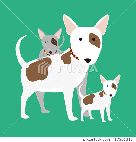 Pet vector Pet vector 17595313