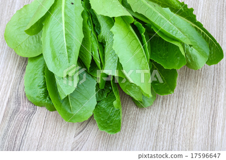 Romano salad leaves Romano salad leaves 17596647