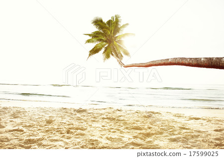 Tropical Beach Peaceful Vacations Summer Concept Tropical Beach Peaceful Vacations Summer Concept 17599025