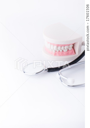 Dental model of a tooth Dental model of a tooth 17601506