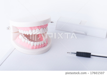 Dental model of a tooth Dental model of a tooth 17601507