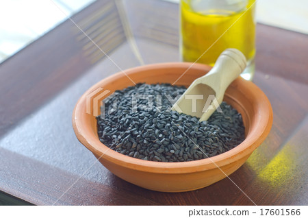 sesame sesame 17601566