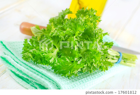 parsley 17601812