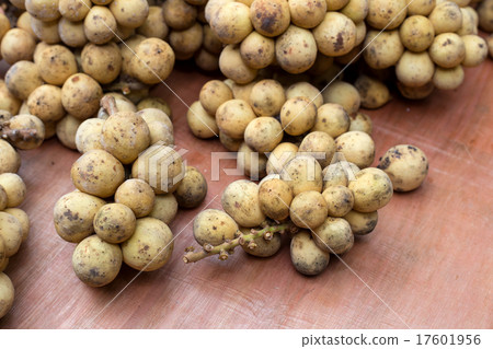 Longkong Lansium demesticum 17601956